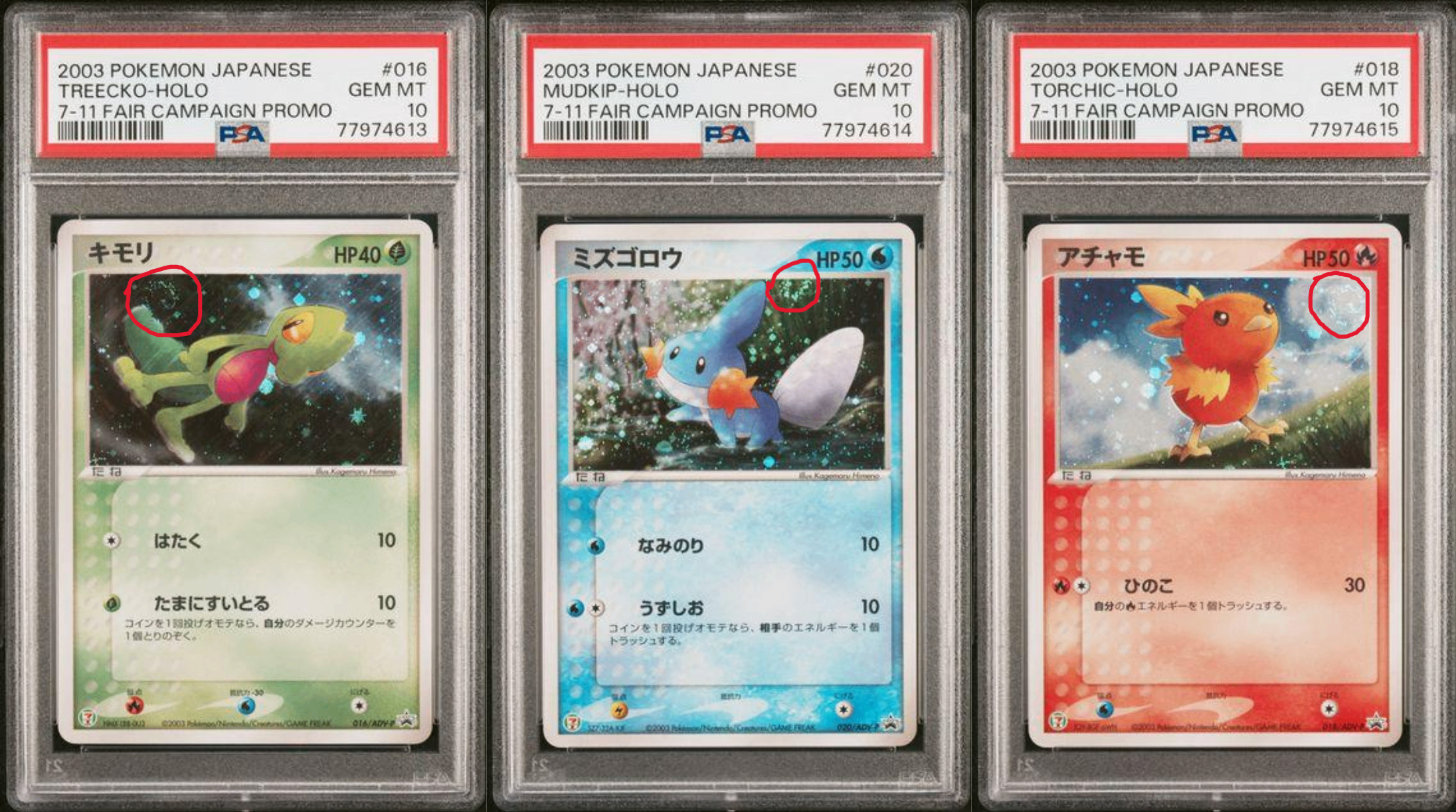 2003 POKEMON JAPANESE PROMO TREECKO/MUDKIP/TORCHIC-HOLO 7-11 FAIR CAMPAIGN PROMO TRIO - Front